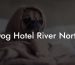 Dog Hotel River North