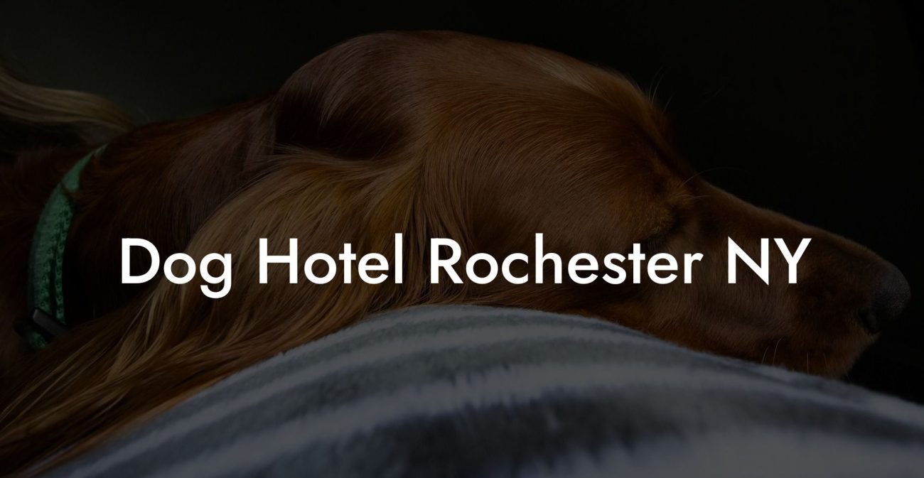 Dog Hotel Rochester NY