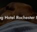 Dog Hotel Rochester NY