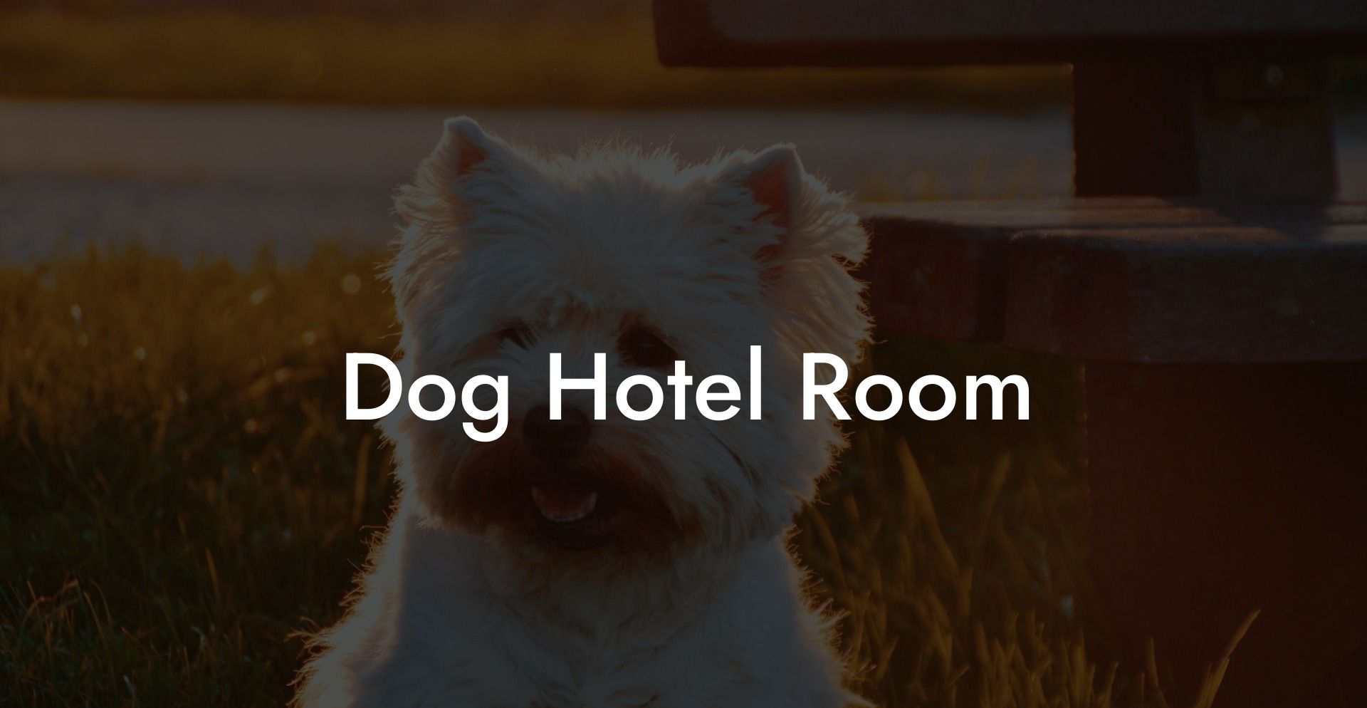 Dog Hotel Room
