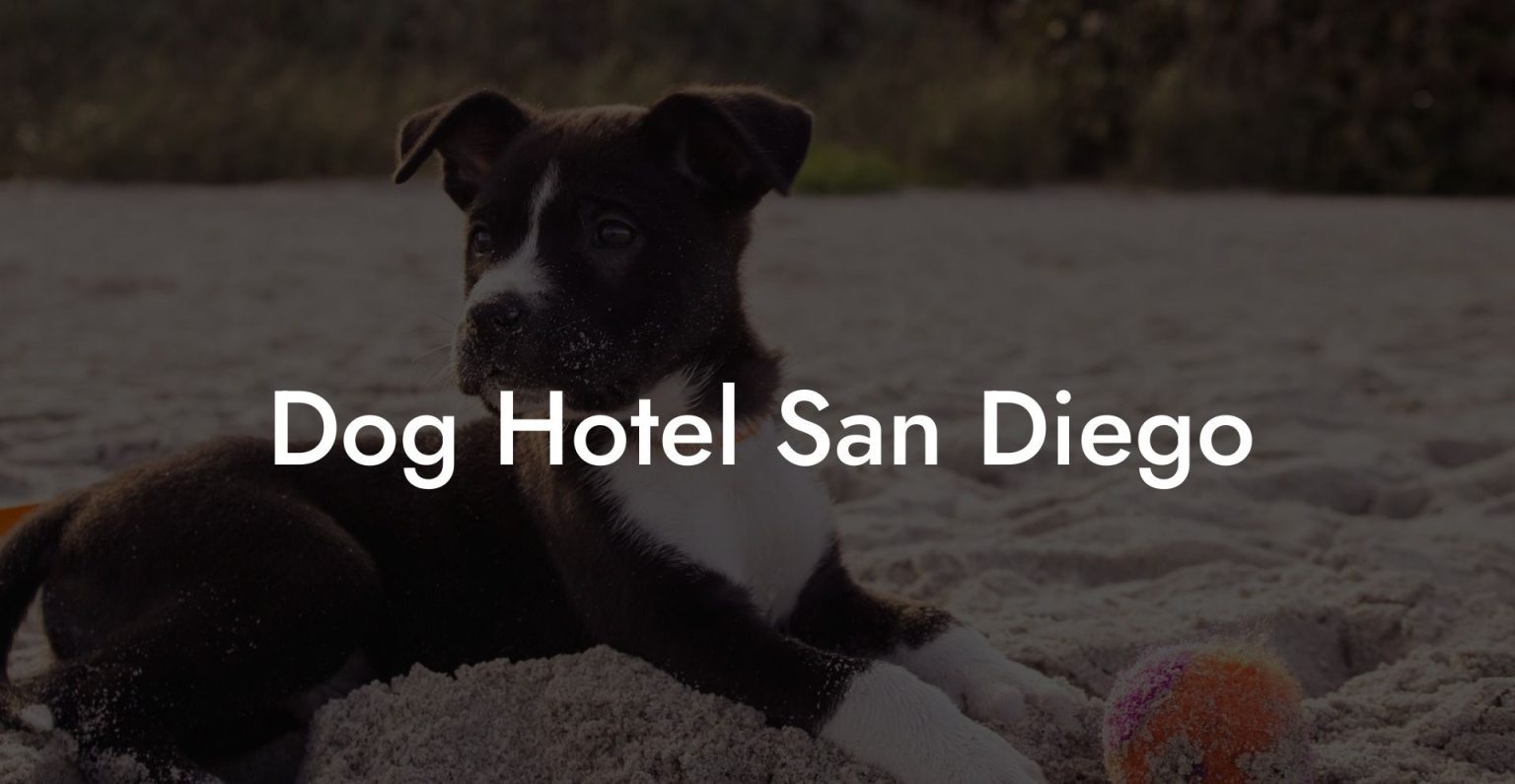 Dog Hotel San Diego Dog Hotels