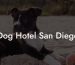 Dog Hotel San Diego