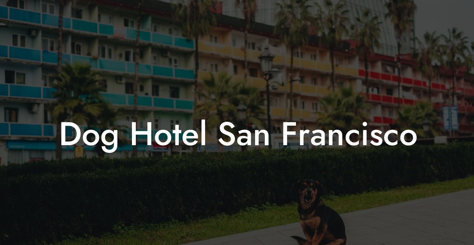 Dog Hotel San Francisco