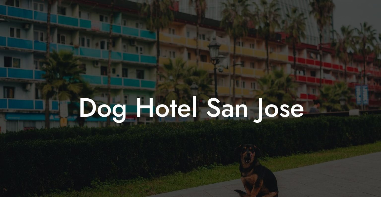 Dog Hotel San Jose Dog Hotels