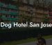 Dog Hotel San Jose