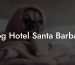 Dog Hotel Santa Barbara