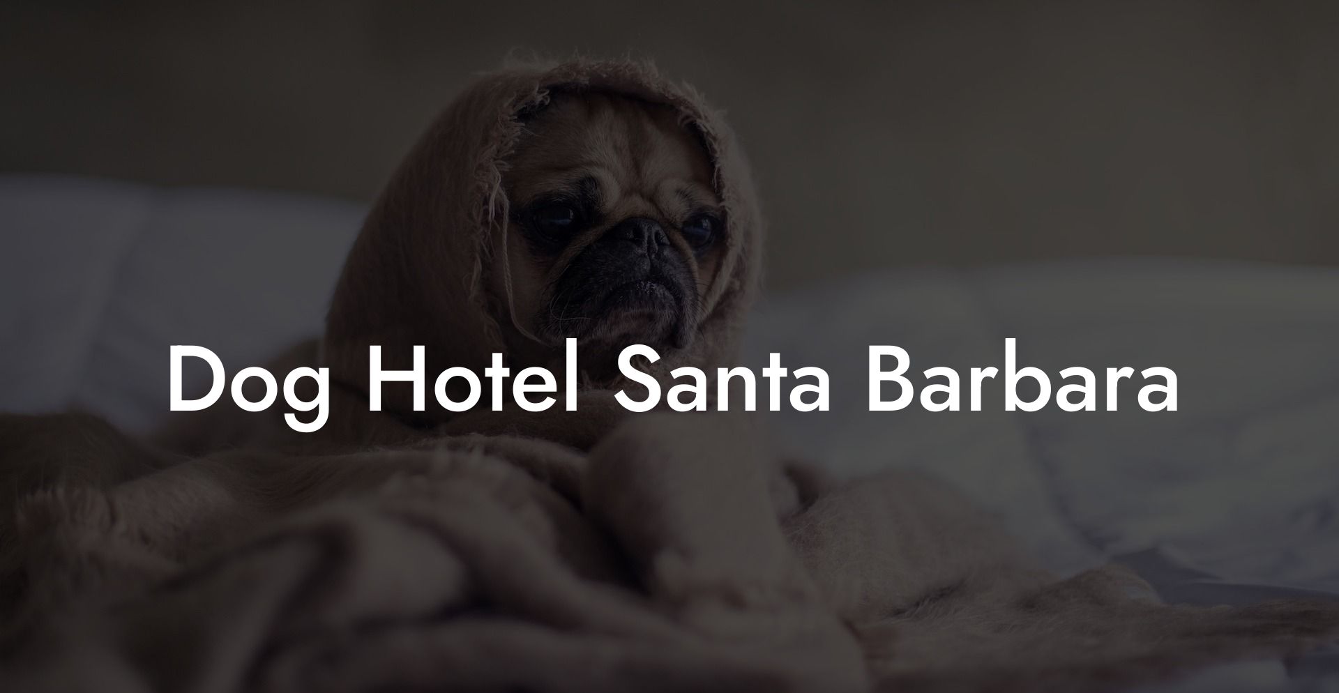 Dog Hotel Santa Barbara