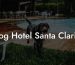 Dog Hotel Santa Clarita