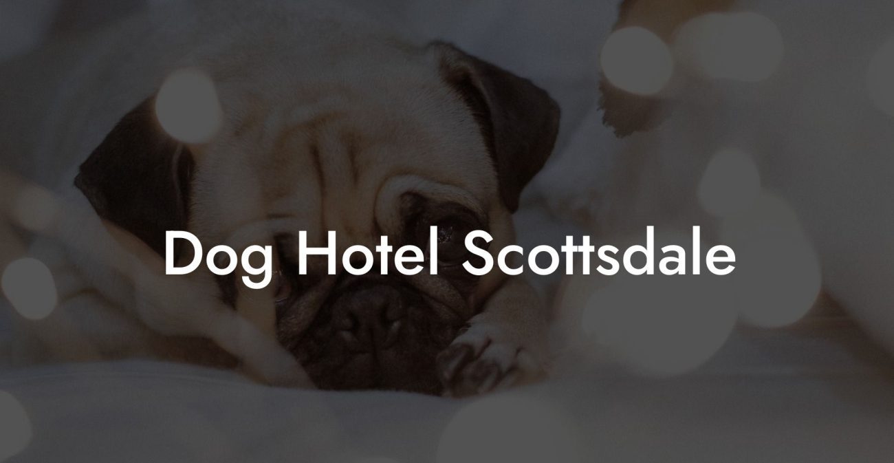 Dog Hotel Scottsdale