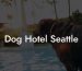 Dog Hotel Seattle