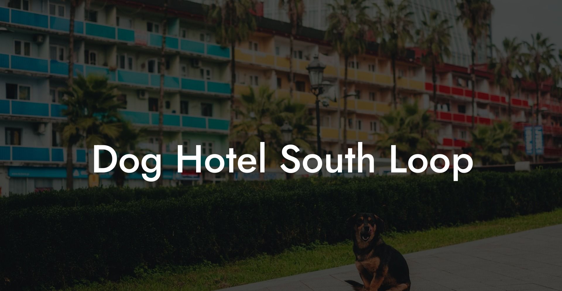 Dog Hotel South Loop