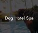 Dog Hotel Spa