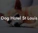 Dog Hotel St Louis