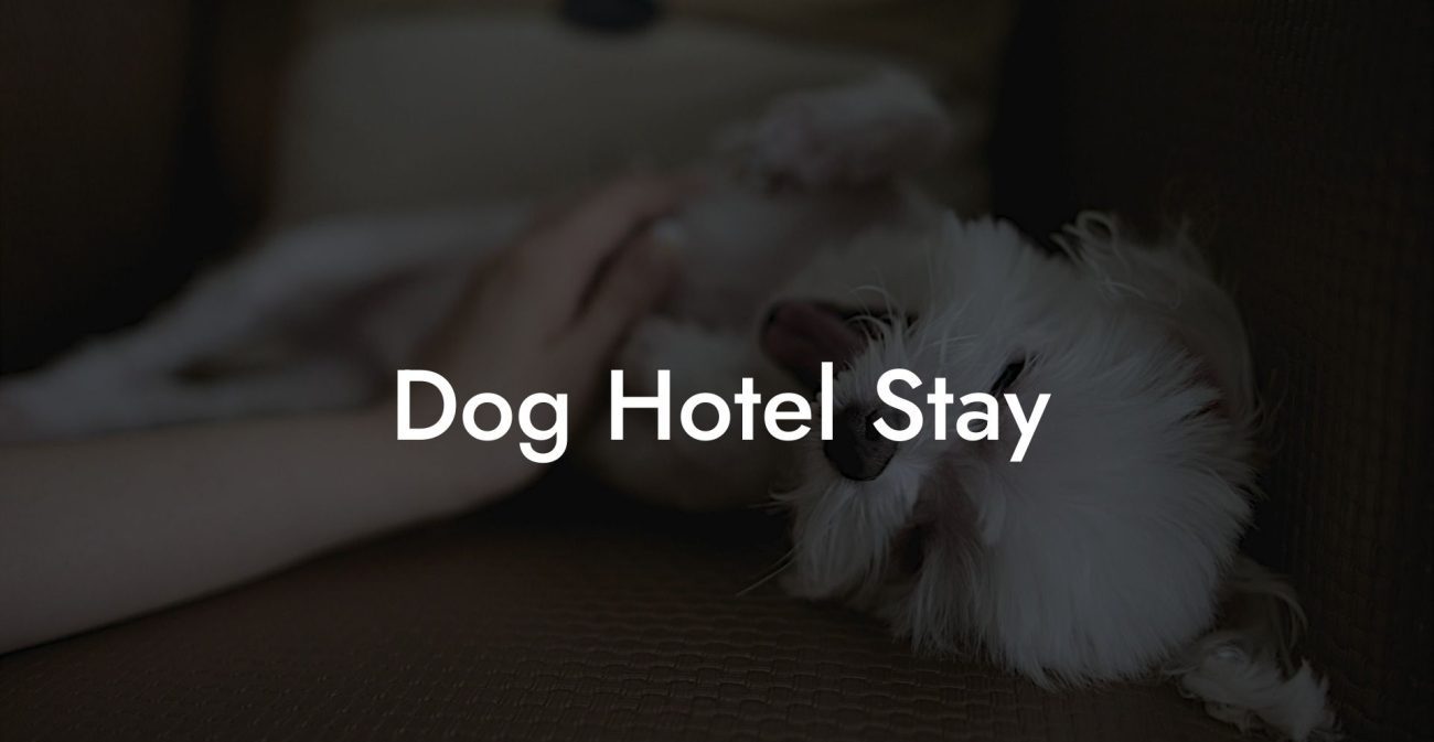 Dog Hotel Stay