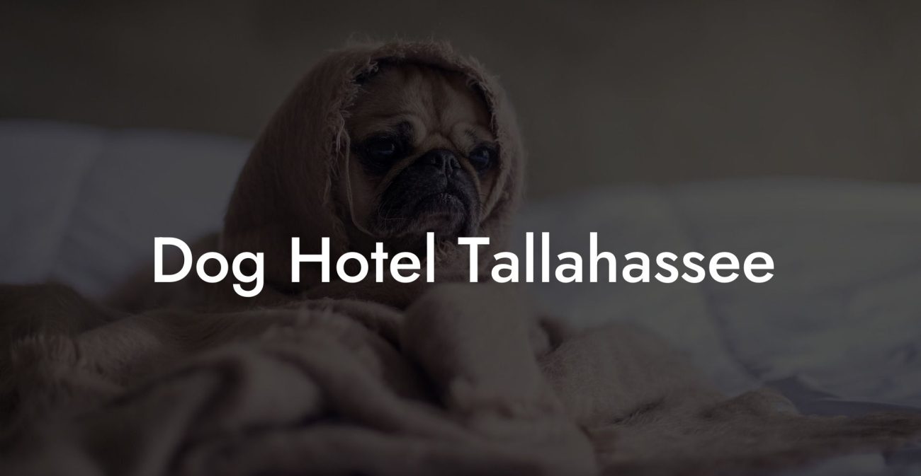 Dog Hotel Tallahassee