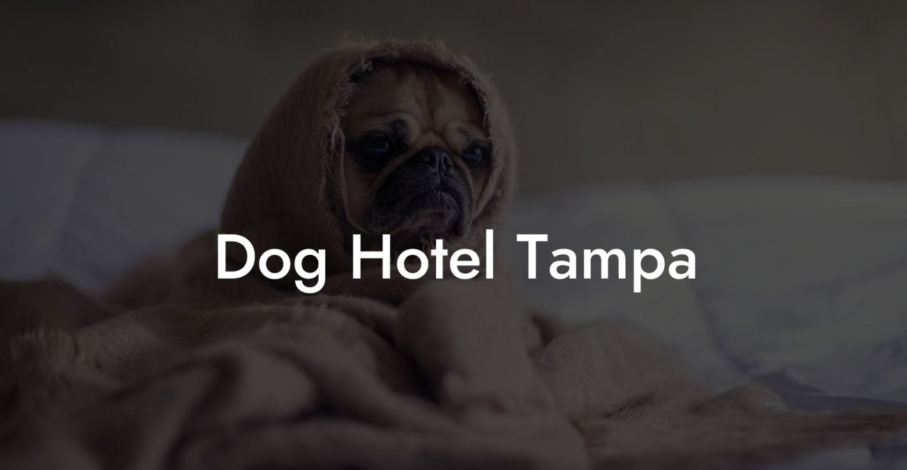 Dog Hotel Tampa