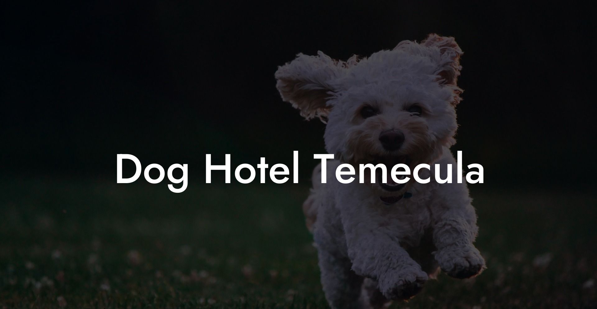 Dog Hotel Temecula