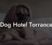 Dog Hotel Torrance