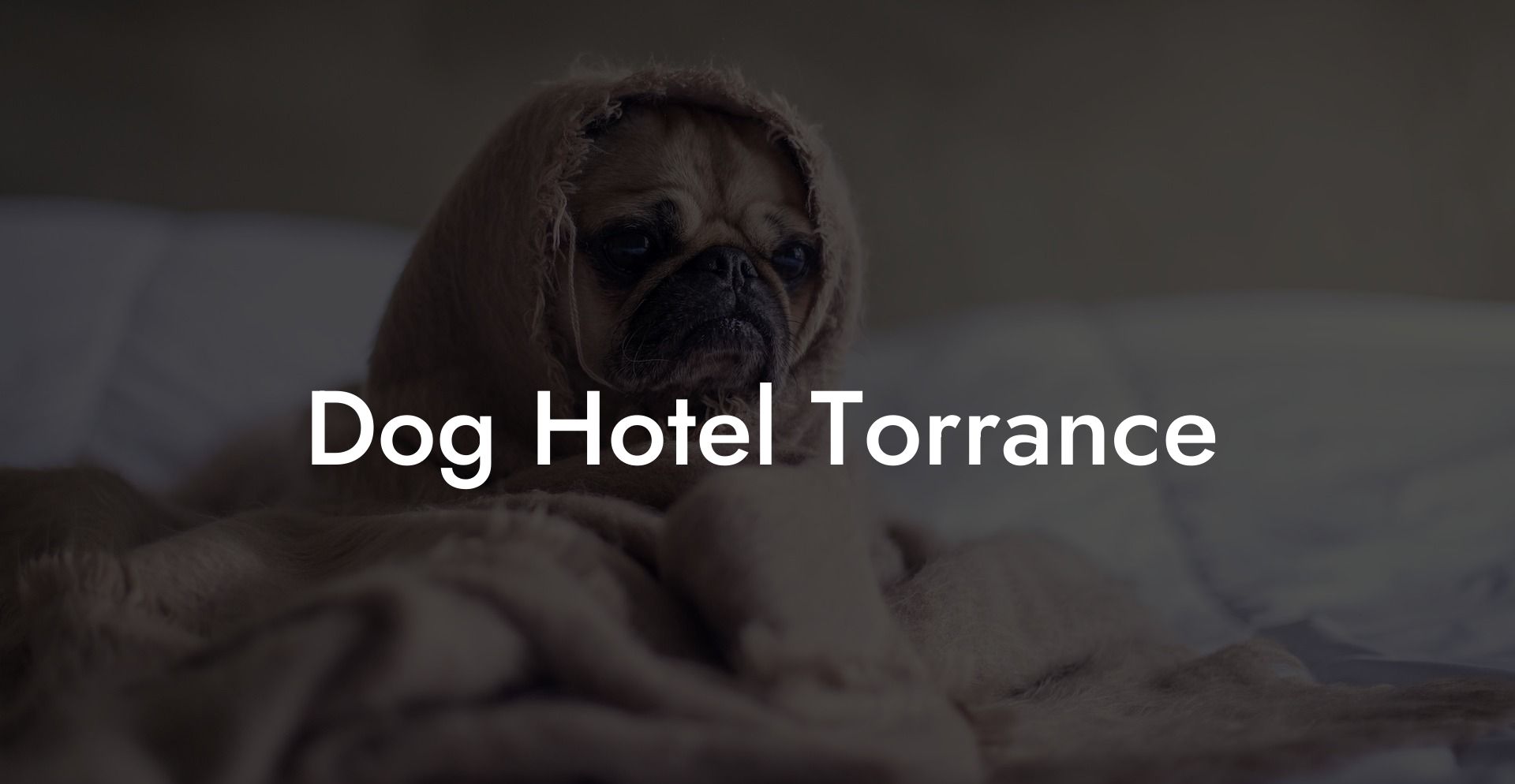 Dog Hotel Torrance