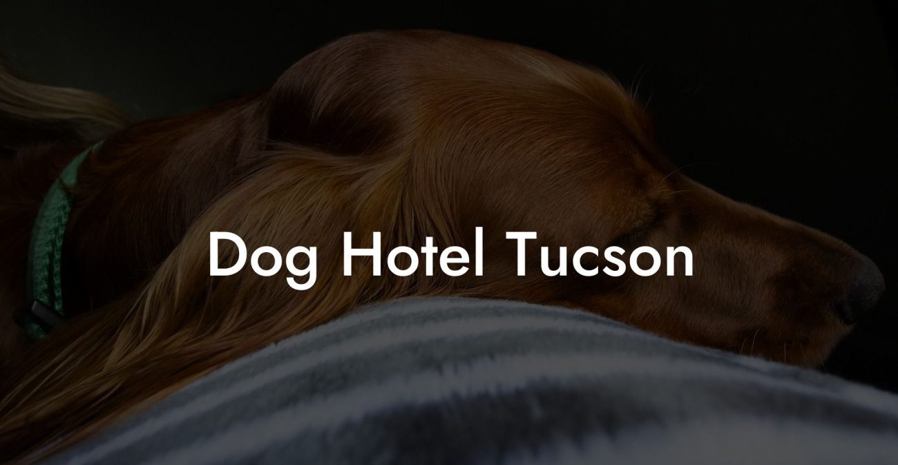 Dog Hotel Tucson