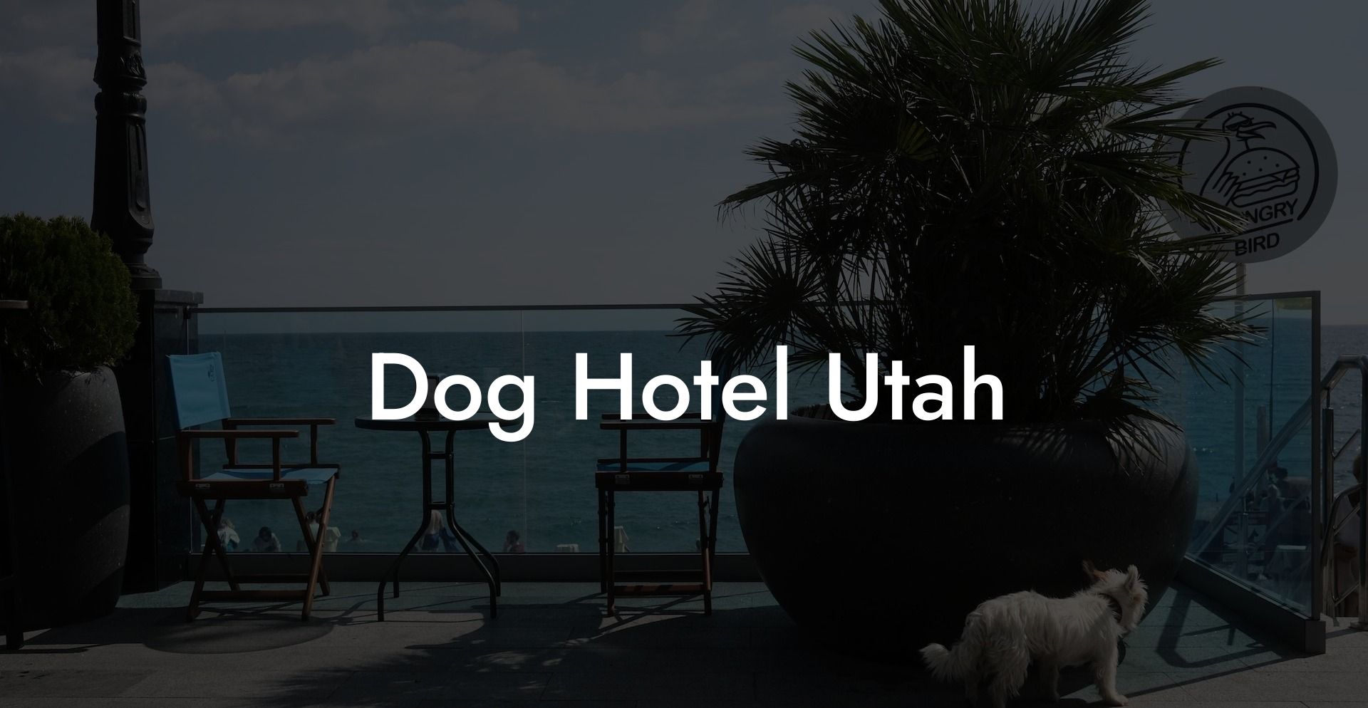Dog Hotel Utah