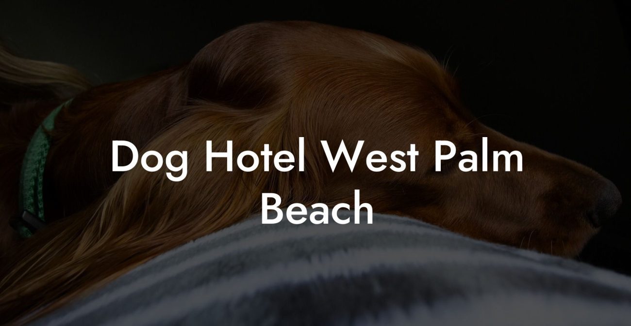Dog Hotel West Palm Beach