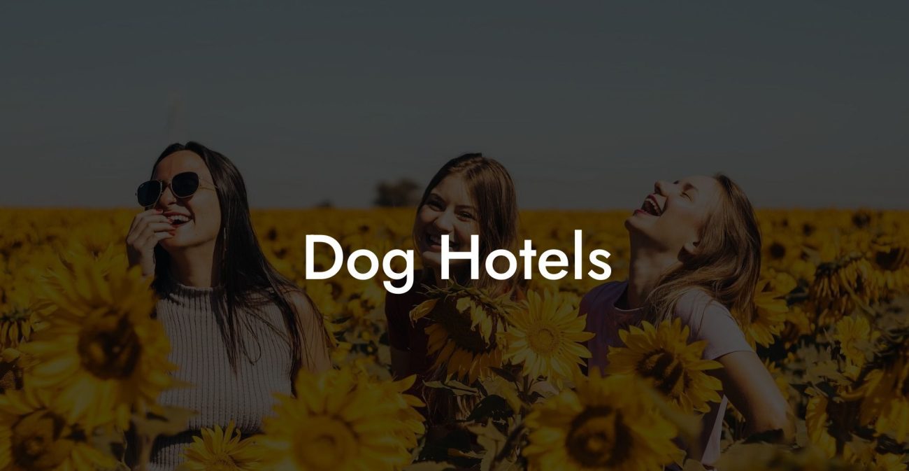 Dog Hotels
