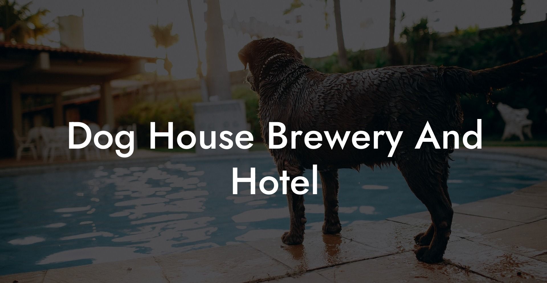 Dog House Brewery And Hotel