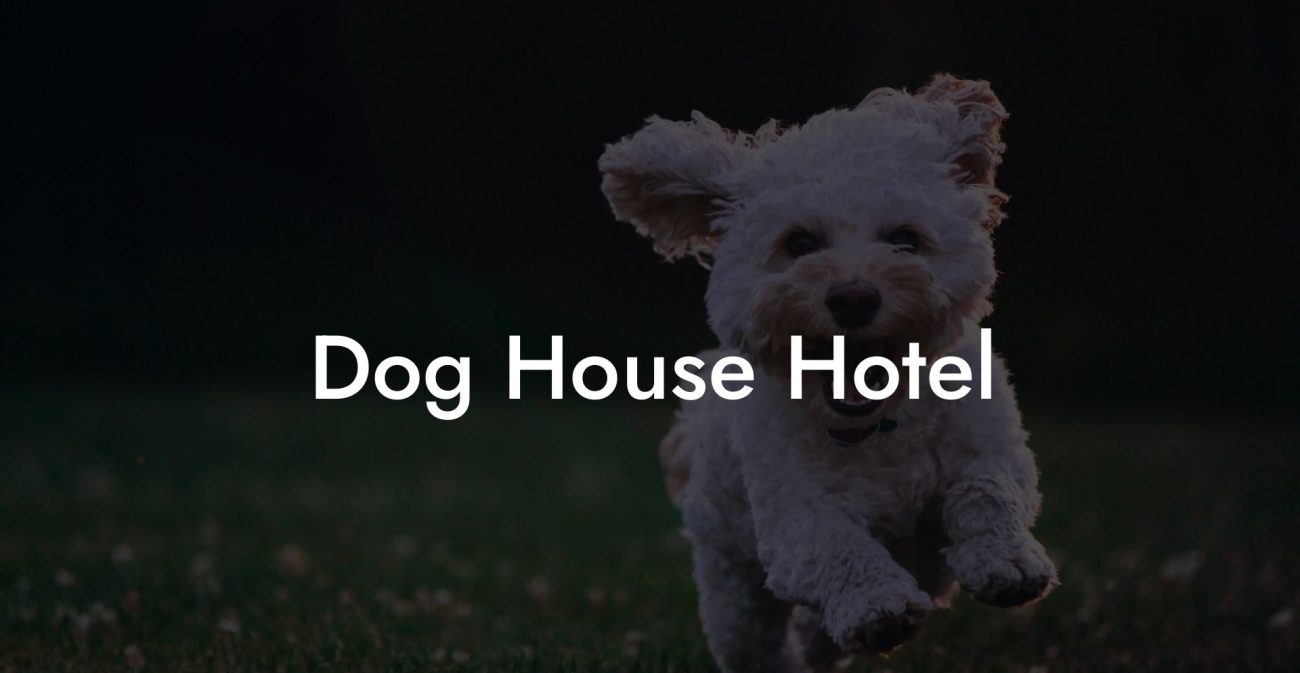 Dog House Hotel
