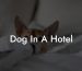 Dog In A Hotel