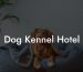 Dog Kennel Hotel