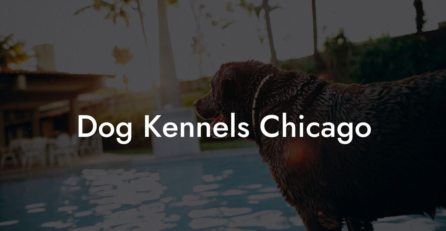 Dog Kennels Chicago Dog Hotels