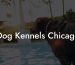 Dog Kennels Chicago