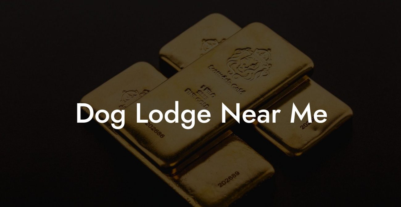 Dog Lodge Near Me