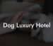 Dog Luxury Hotel