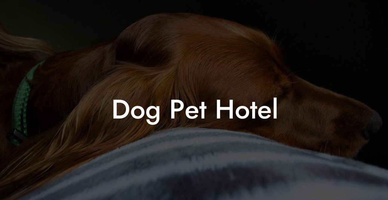 Dog Pet Hotel