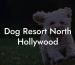 Dog Resort North Hollywood