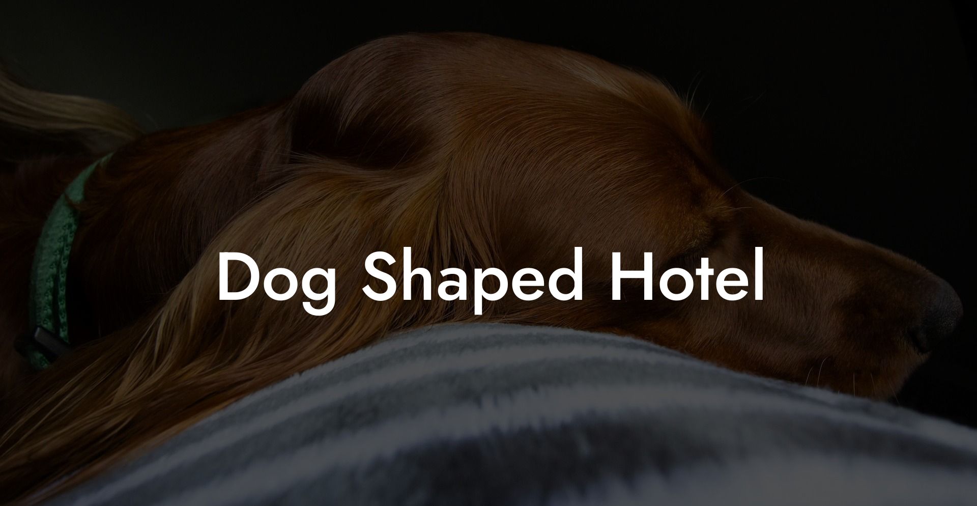 Dog Shaped Hotel