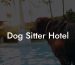 Dog Sitter Hotel