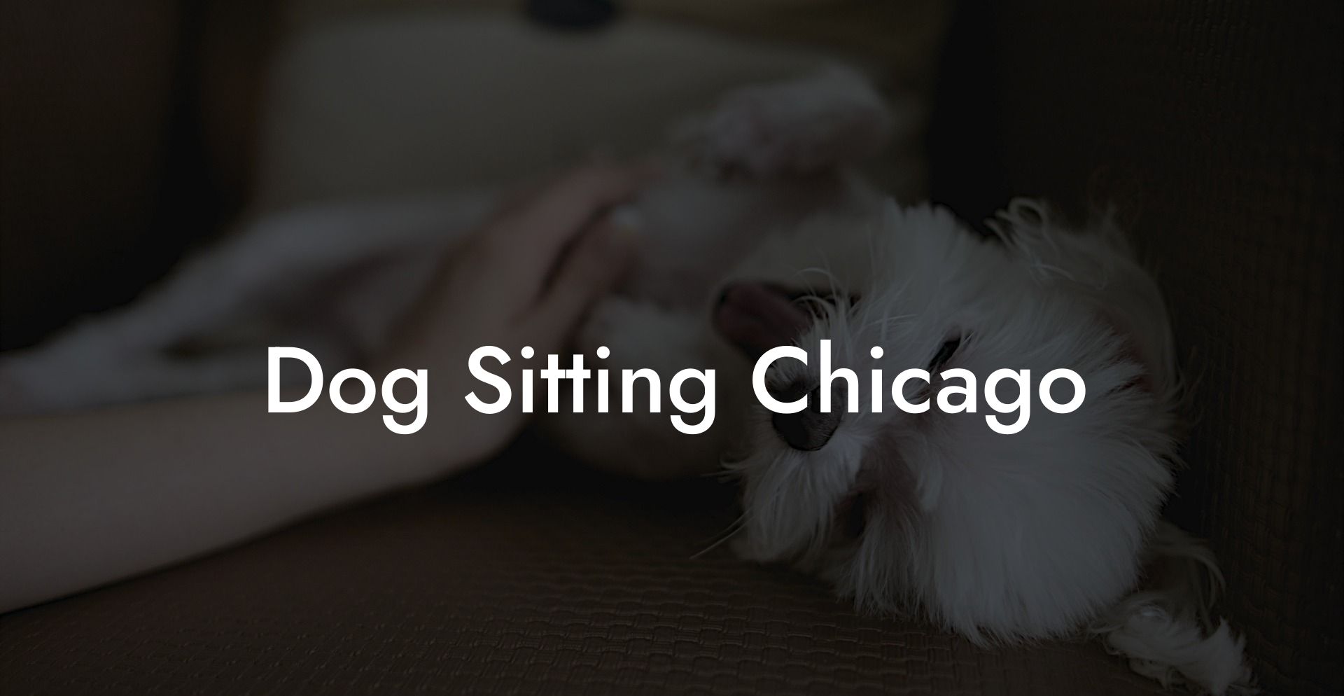 Dog Sitting Chicago