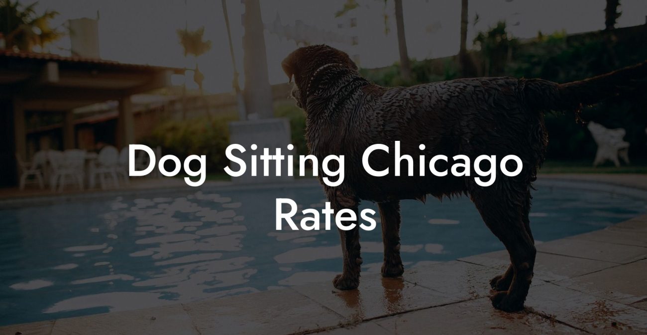 Dog Sitting Chicago Rates