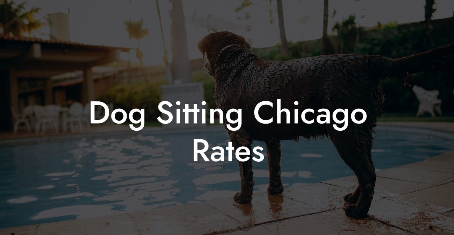 Dog Sitting Chicago Rates Dog Hotels