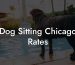 Dog Sitting Chicago Rates
