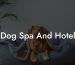 Dog Spa And Hotel