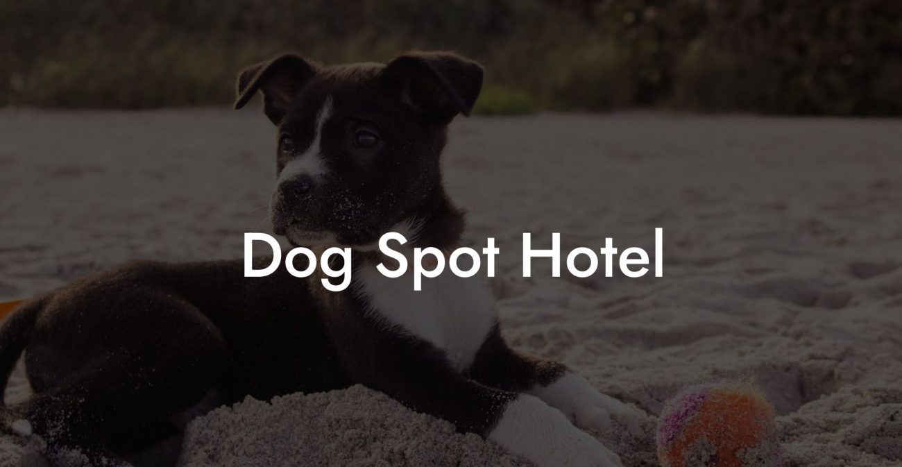Dog Spot Hotel