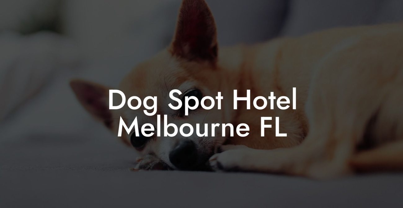 Dog Spot Hotel Melbourne FL