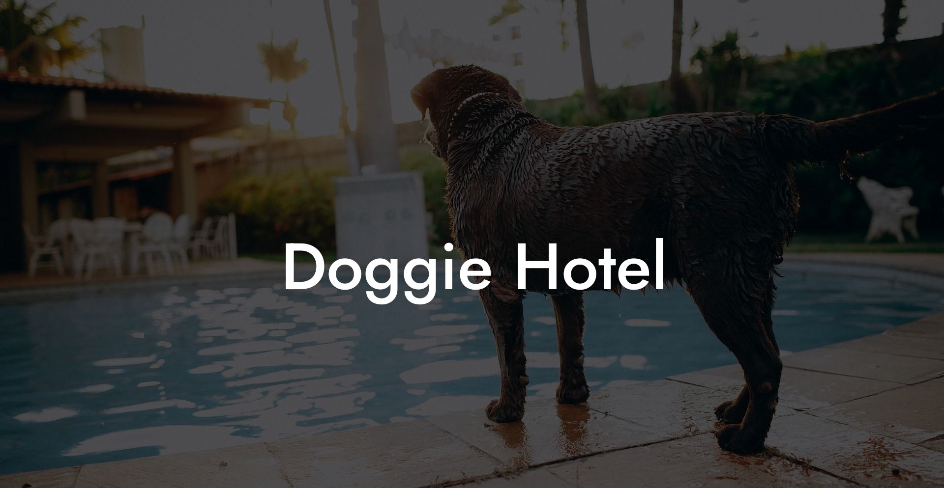 Doggie Hotel