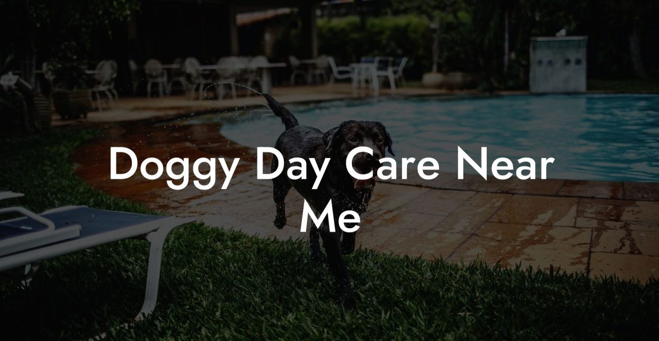 Doggy Day Care Near Me