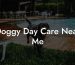 Doggy Day Care Near Me