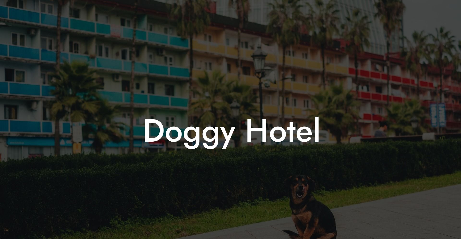 Doggy Hotel